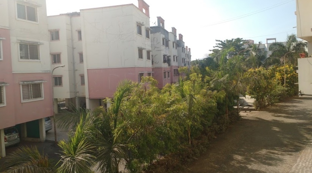 little hearts Elevation