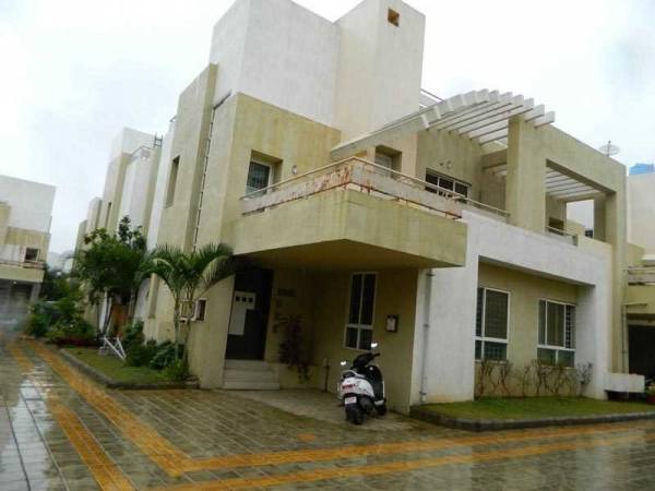  culture-crest Elevation