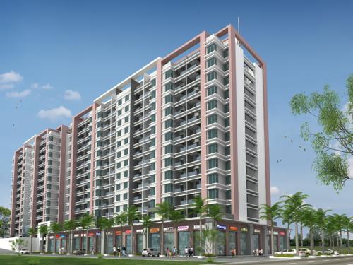  marigold Images for Elevation of Nagpal Marigold