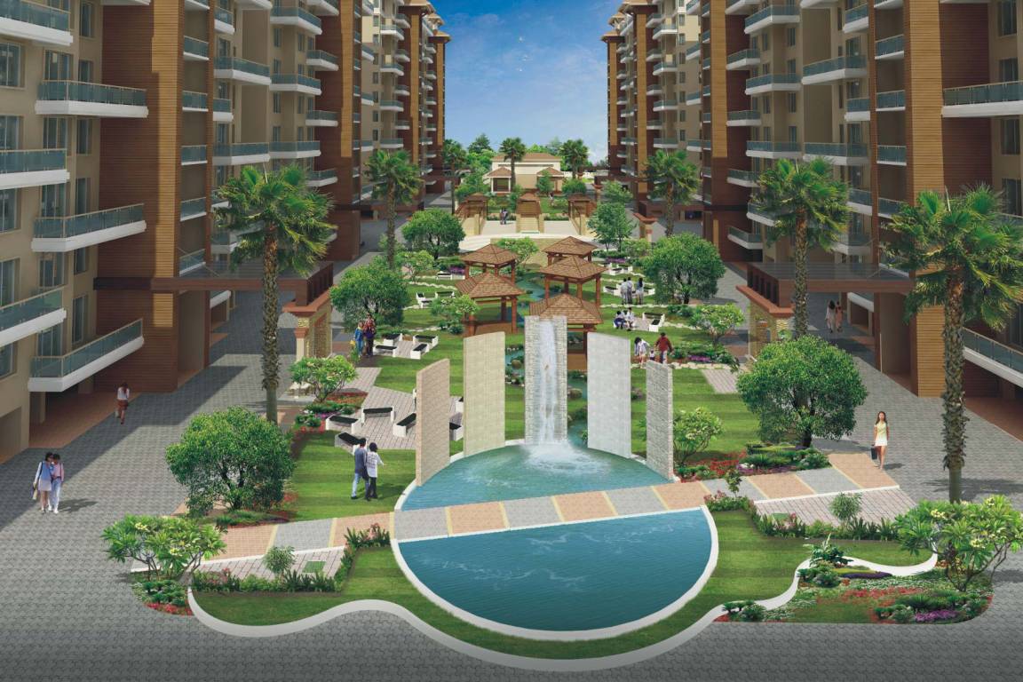 Images for Elevation of Alcon Silverleaf