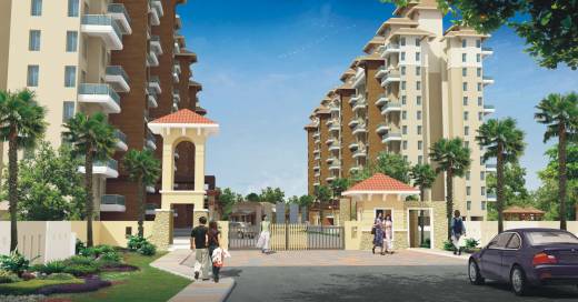 Images for Elevation of Alcon Silverleaf