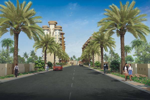 Images for Elevation of Alcon Silverleaf Images for Elevation of Alcon Silverleaf