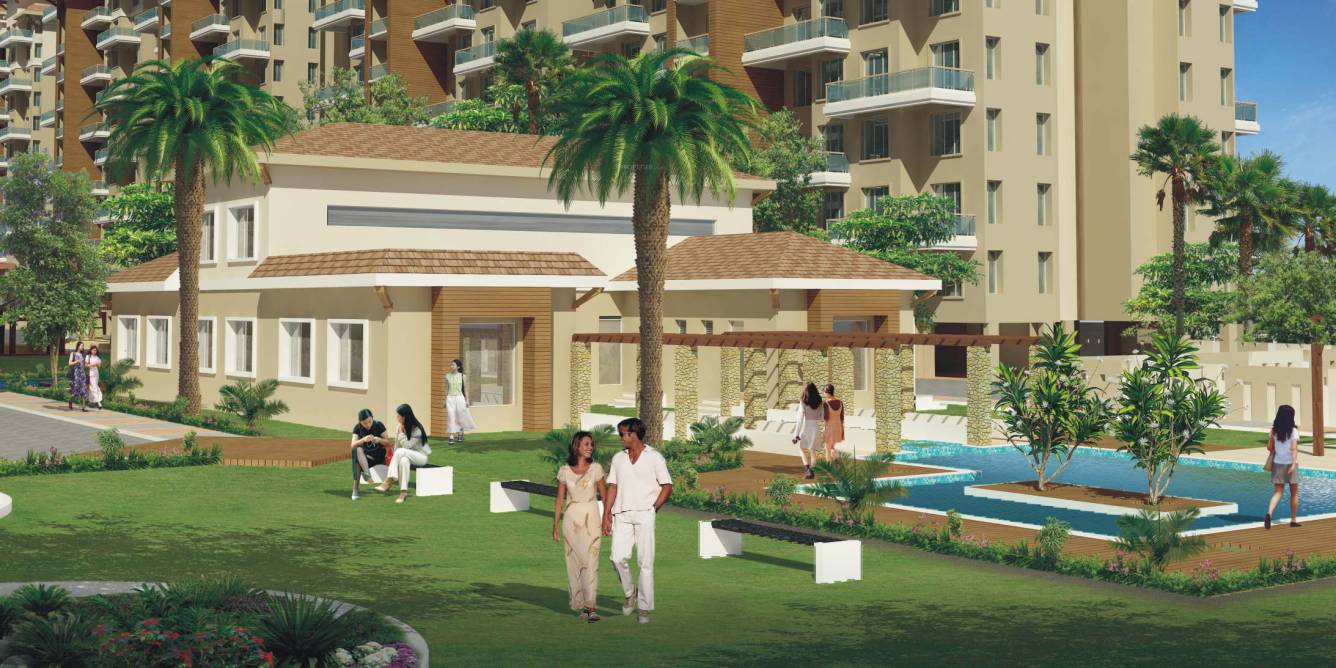 Images for Elevation of Alcon Silverleaf