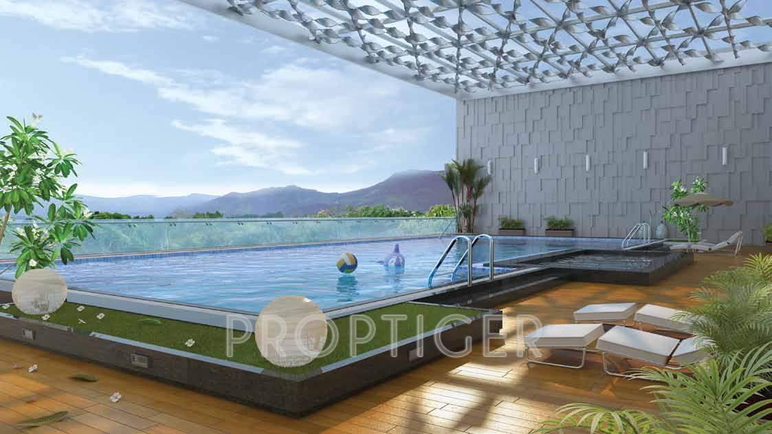  siesta Images for Amenities of  Siesta