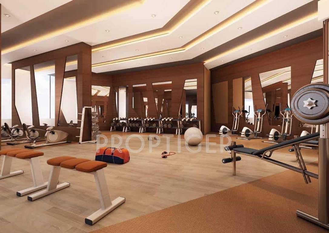  siesta Images for Amenities of  Siesta