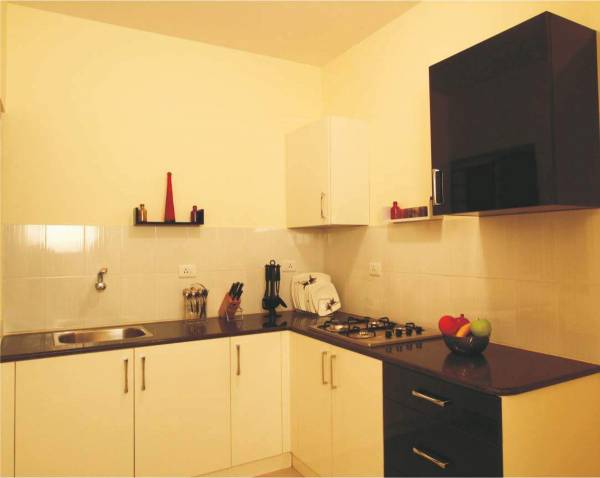 Images for Main Other of VBHC Palmhaven I Images for Main Other of VBHC Palmhaven I