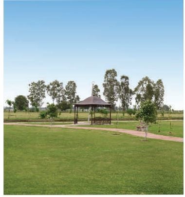 Elevation global-city Elevation