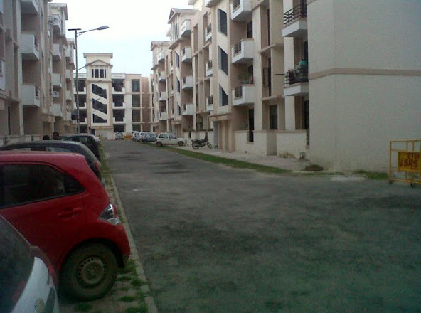 pearl floors Elevation