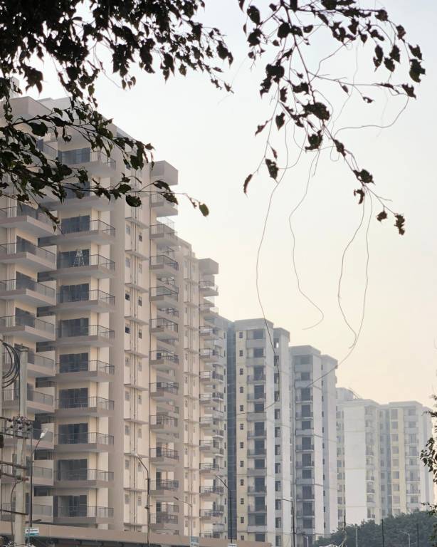 pearl floors Images for Project