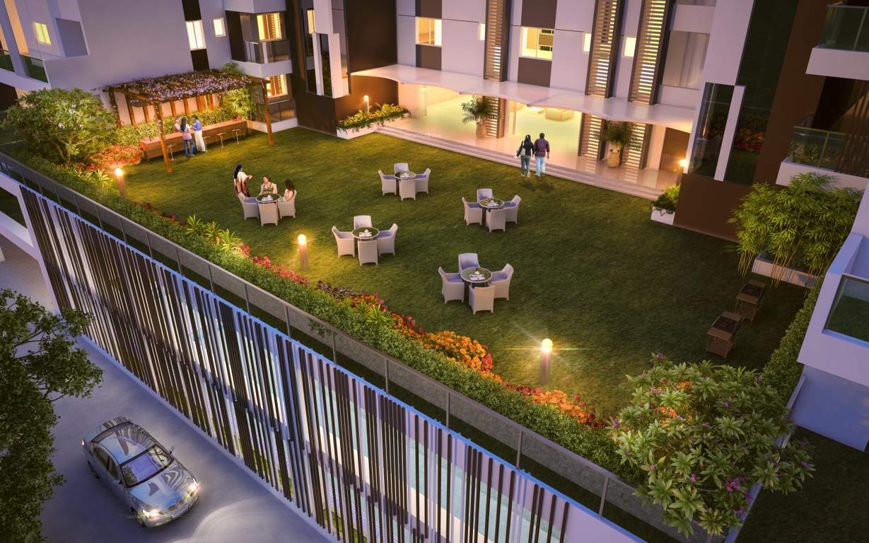 jyothi cosmos Terrace Garden