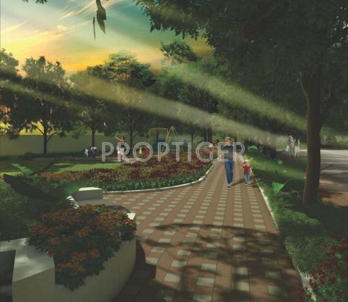  fiesta Images for Amenities of Pate Fiesta