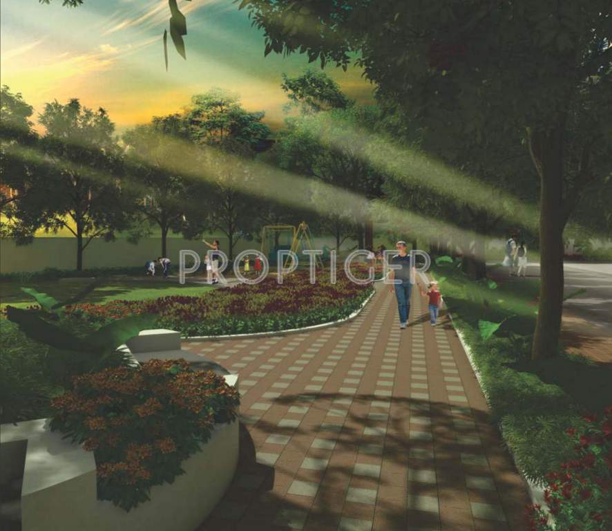  fiesta Images for Amenities of Pate Fiesta