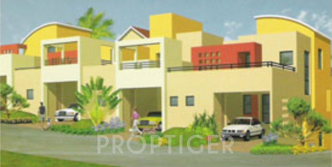  cloud 9 Images for Elevation of Purple Cloud 9