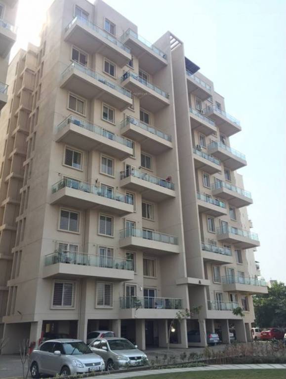 Images for Elevation of Alcon Signare