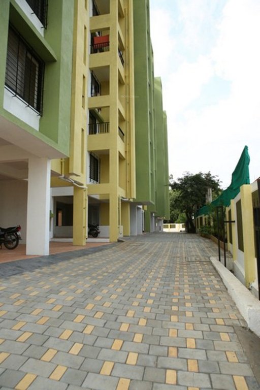  forest hills Elevation