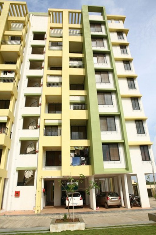  forest hills Elevation