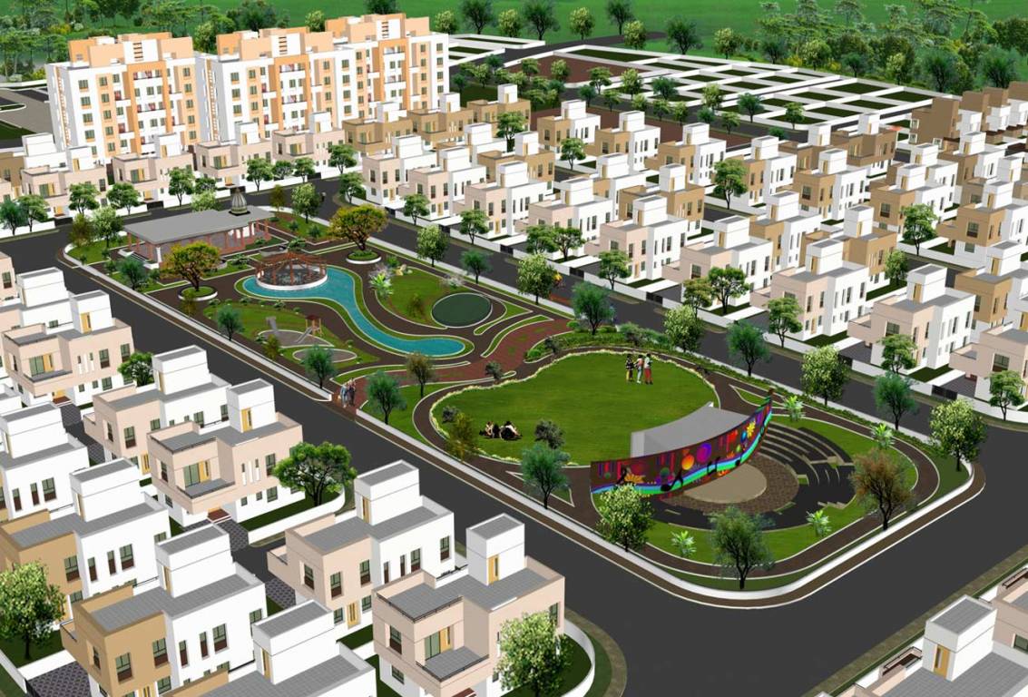  daffodils Images for Elevation of Vishhram Daffodils