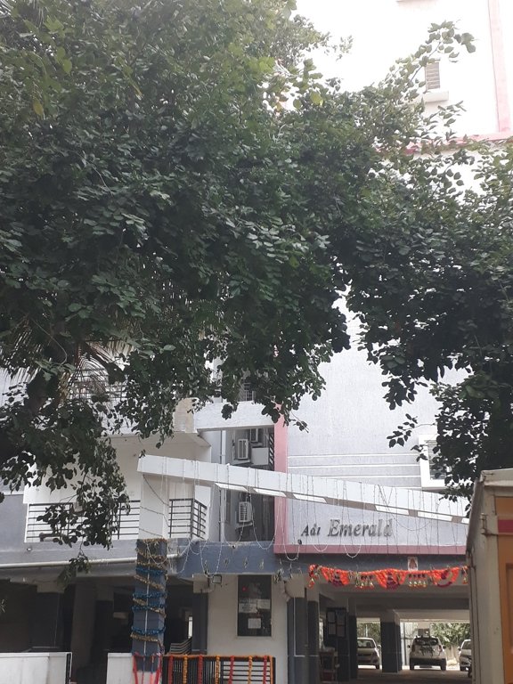  adi emerald Gated Community