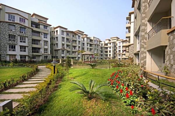  fortune-township Elevation