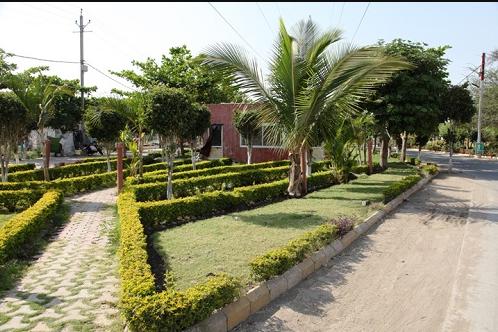 Landscape Garden and Tree Planting singapore-township-phase-i-villa Landscape Garden and Tree Planting