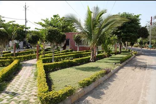  singapore township phase i villa Landscape Garden and Tree Planting