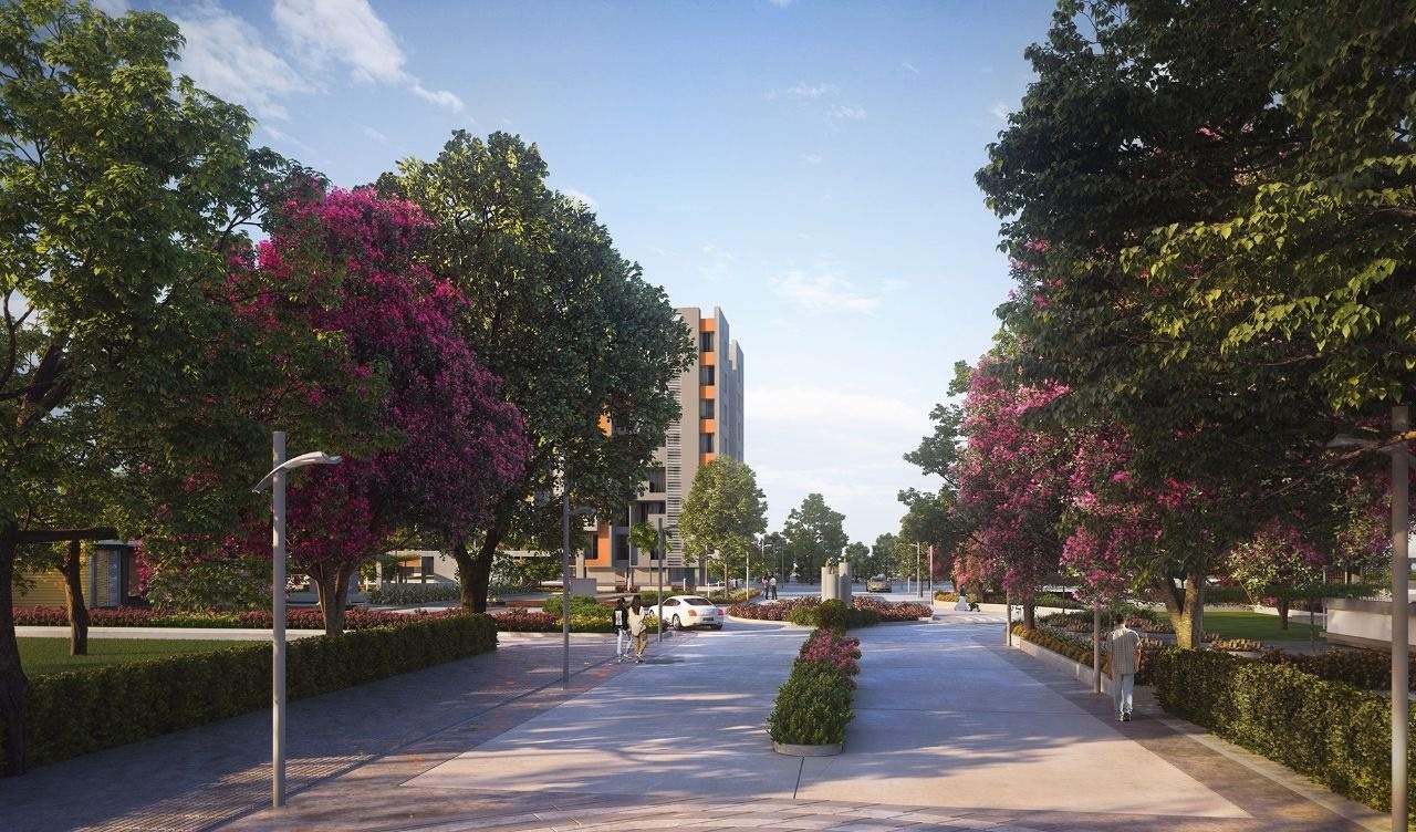  city phase iii Landscape Garden and Tree Planting
