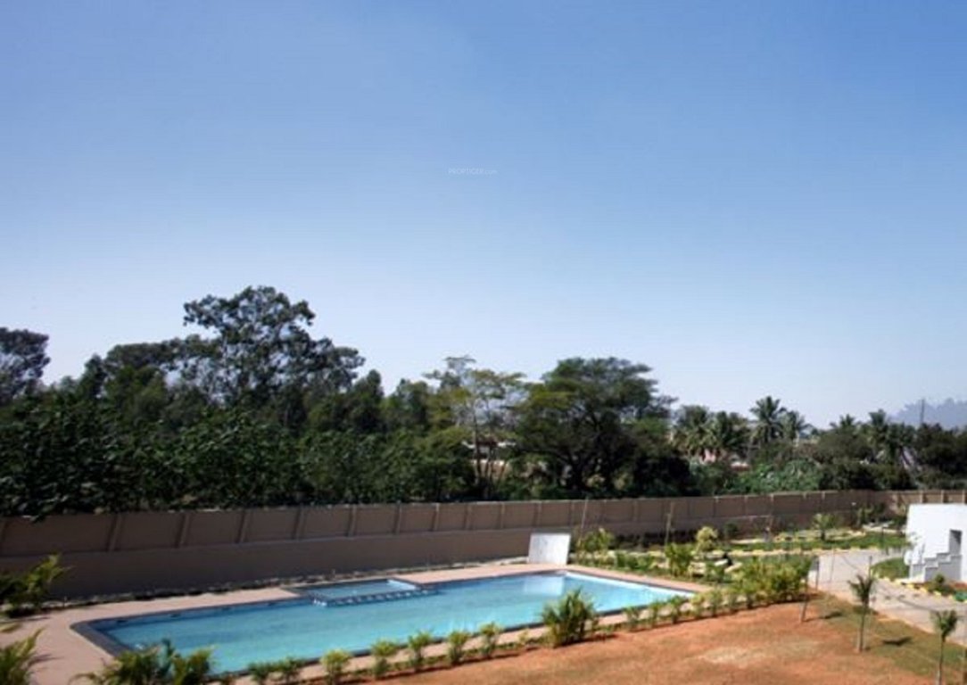  azalea Swimming Pool