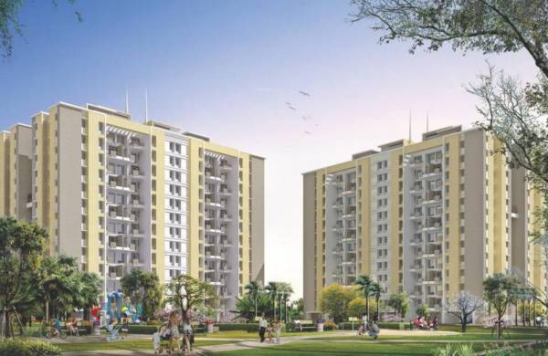  saffron Images for Elevation of Malpani Saffron