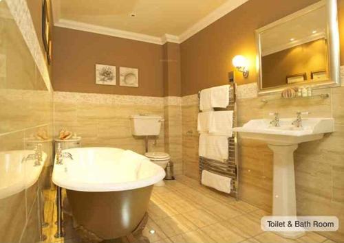  saffron Images for Amenities of Malpani Saffron