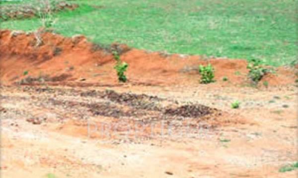 Images for Elevation of Sky Sai Nisarg