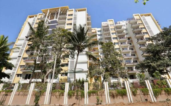 Images for Elevation of Esteem Classic classic Images for Elevation of Esteem Classic