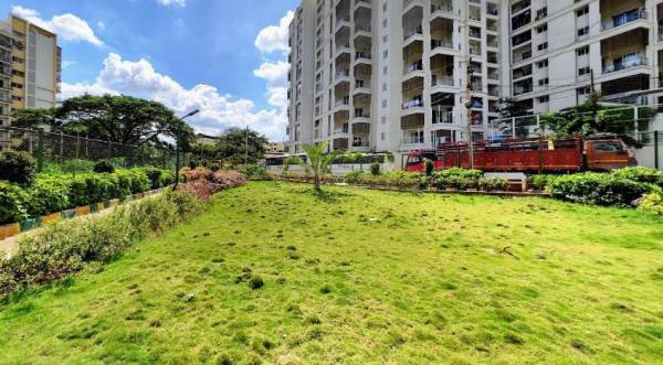 Landscape Garden and Tree Planting classic Landscape Garden and Tree Planting