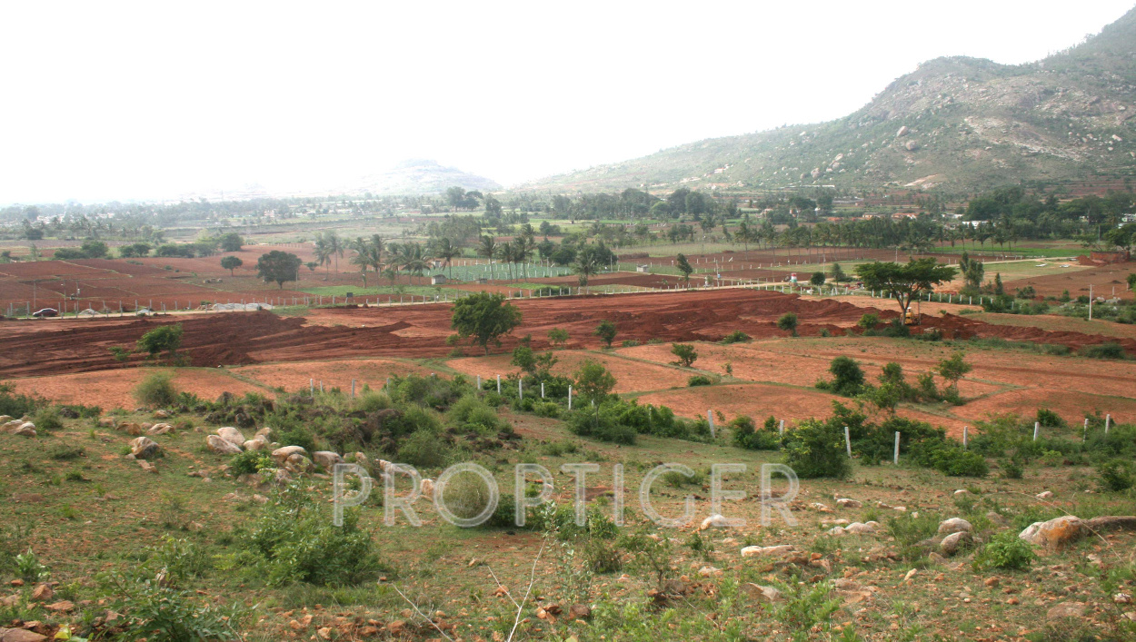 Images for Main Other of Reputed Builder Mist