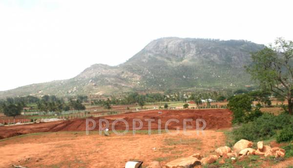 Images for Main Other of Reputed Builder Mist