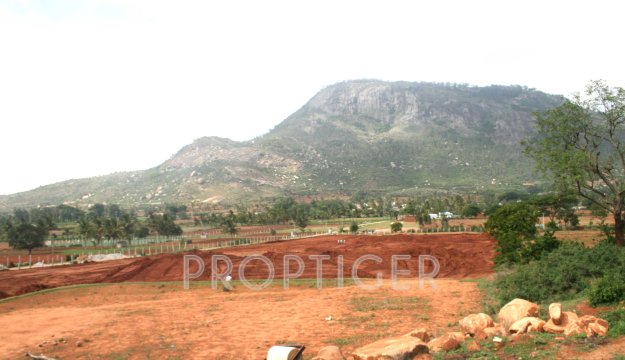 Images for Main Other of Reputed Builder Mist