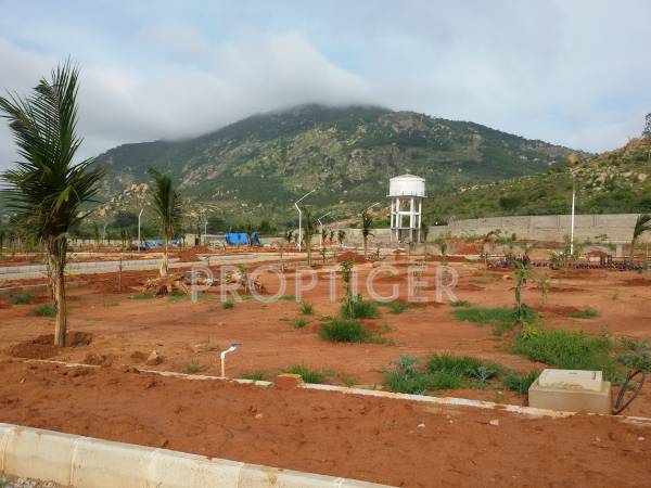 Images for Main Other of Reputed Builder Mist