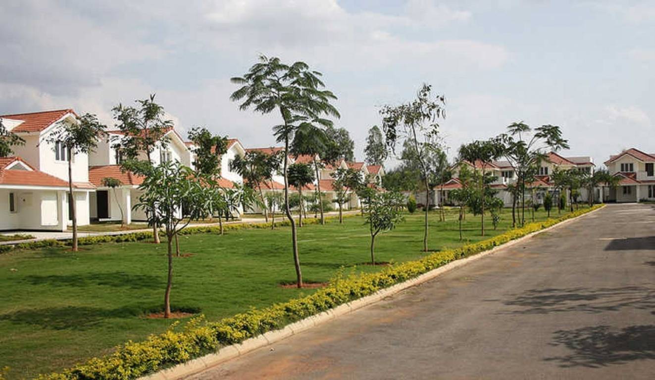  mulberry meadows Elevation