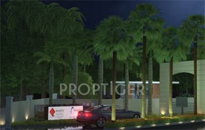 Images for Main Other of Maple Echtuo Images for Main Other of Maple Echtuo