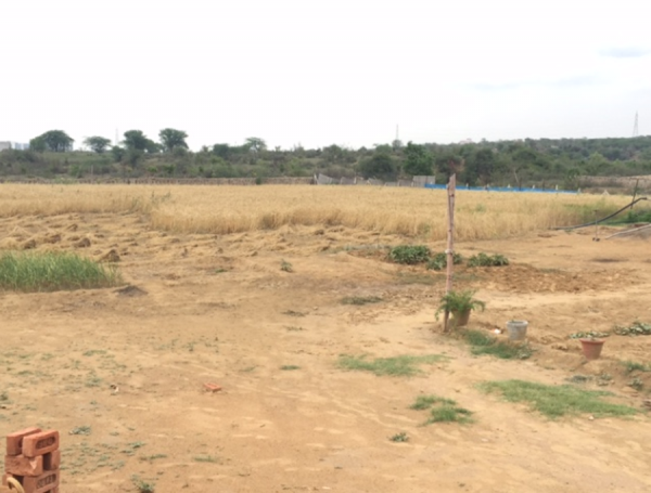 Images for Amenities of Ram Rose Valley