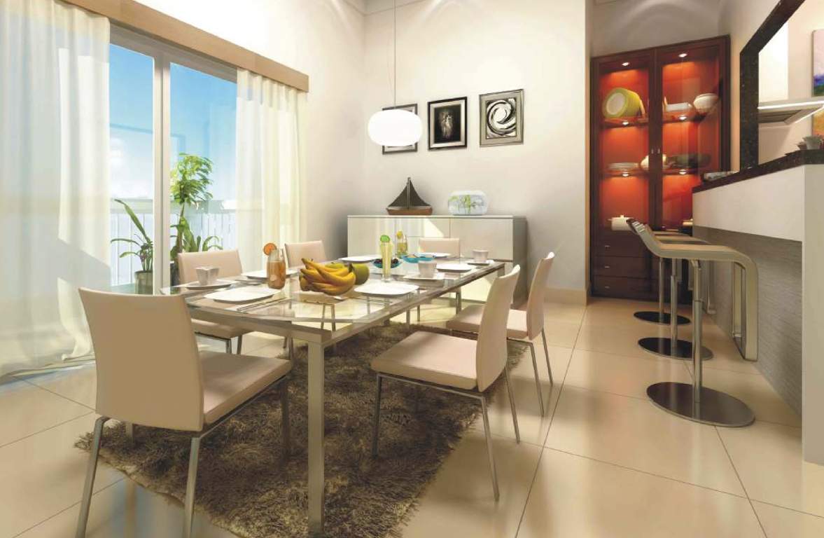 symphony Images for Main Other of Navami Symphony