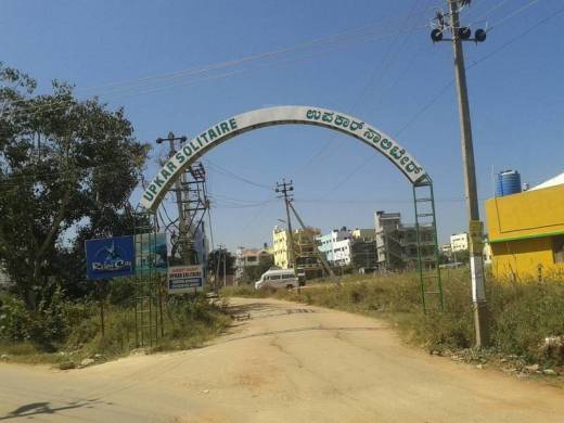 solitaire Elevation Elevation