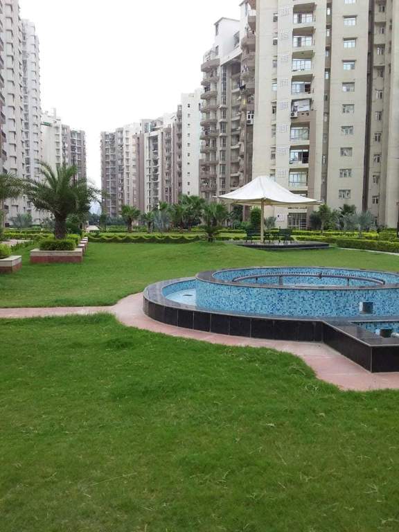 czar villas Landscape Garden and Tree Planting