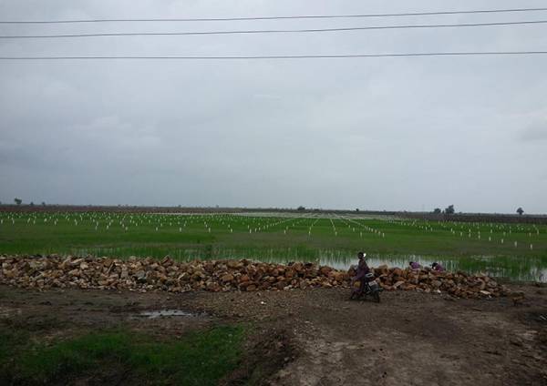 Images for Amenities of Magnanimous Pearl 3