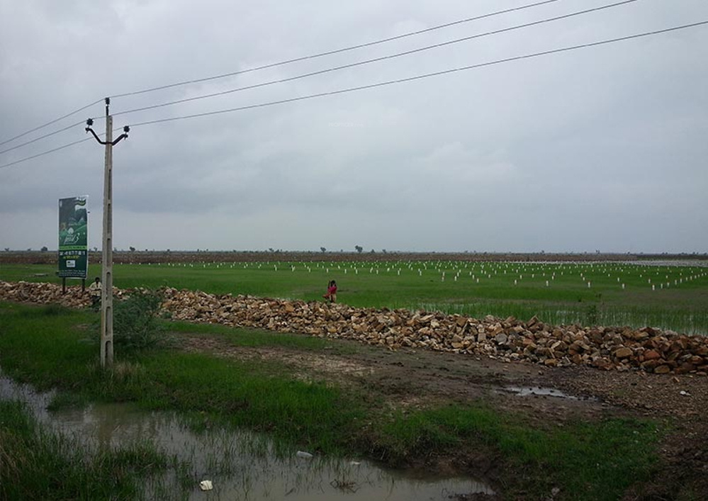 Images for Amenities of Magnanimous Pearl 3