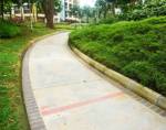  viva Internal Roads & Footpaths