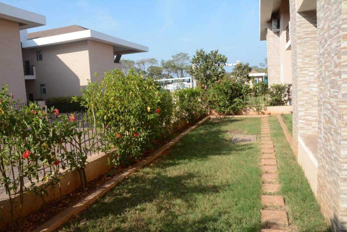 viva Landscape Garden and Tree Planting