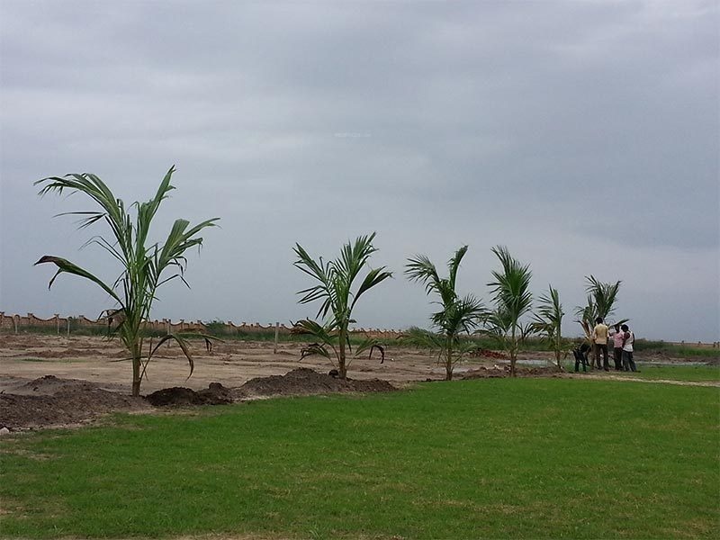 Images for Amenities of Magnanimous Greenz