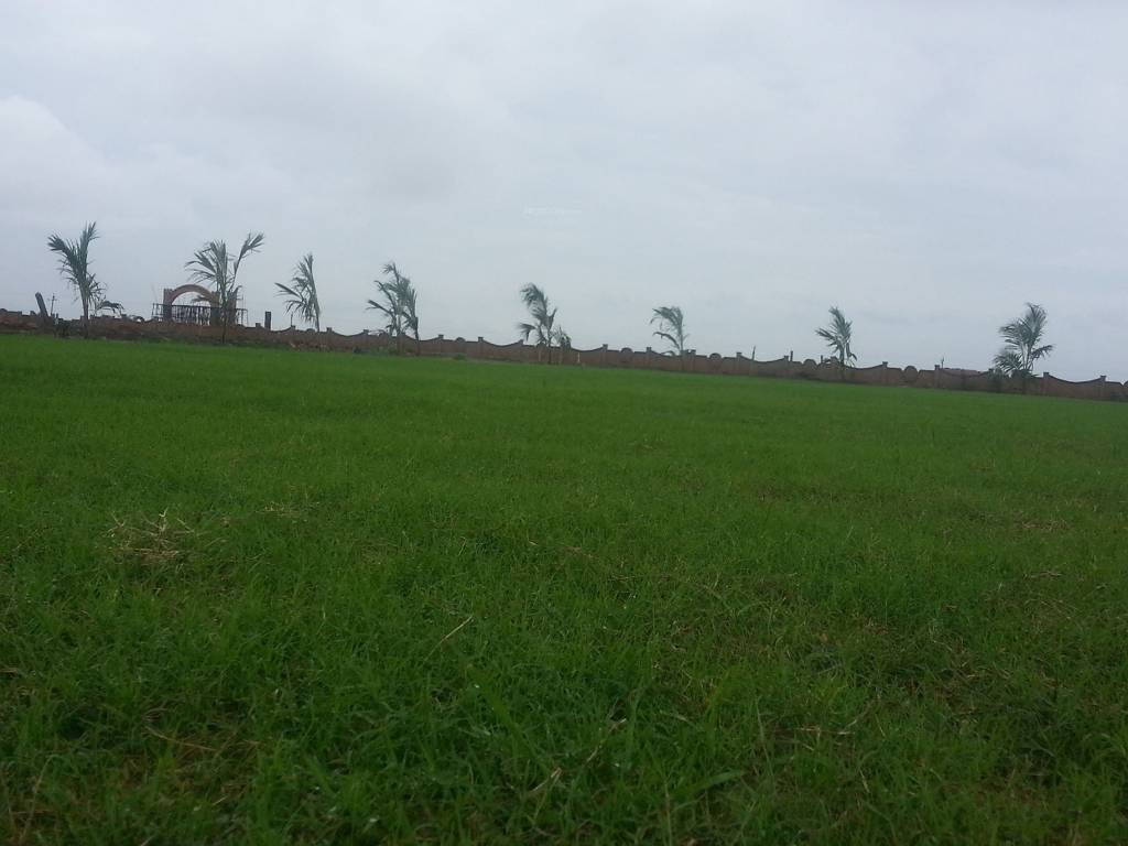 Images for Amenities of Magnanimous Greenz