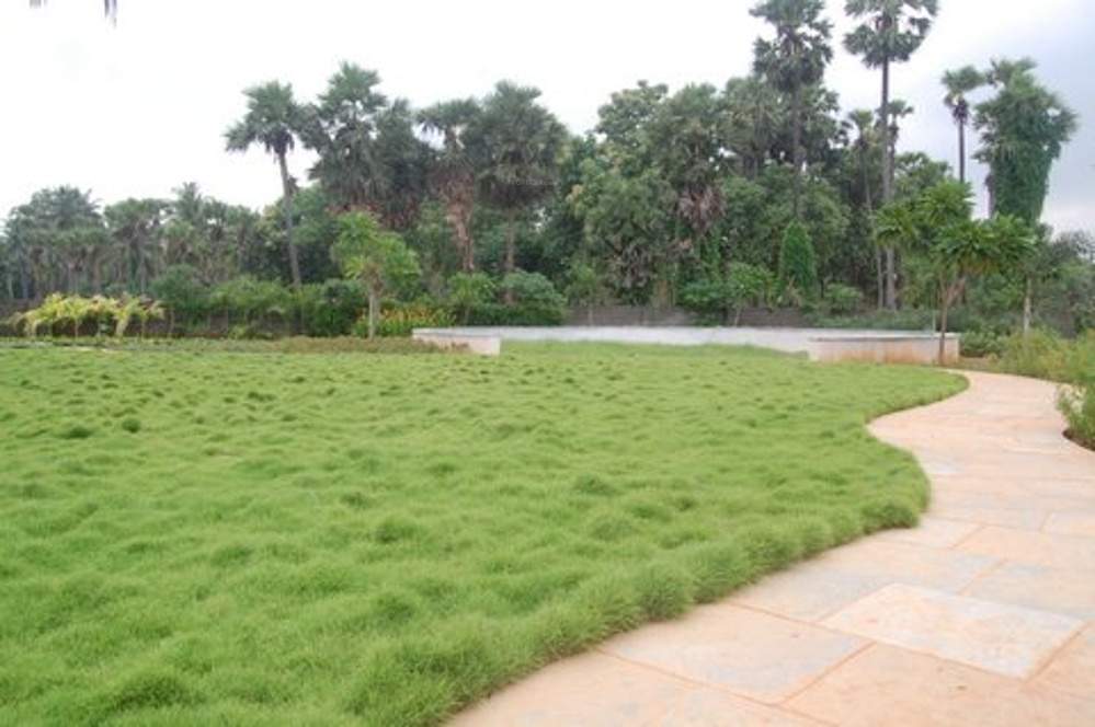  crest Images for Amenities of Legend Crest