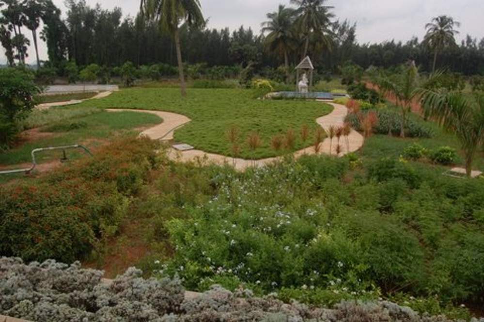  crest Images for Amenities of Legend Crest